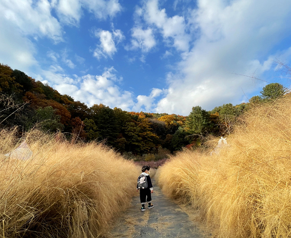 포천-허브아일랜드-입장료