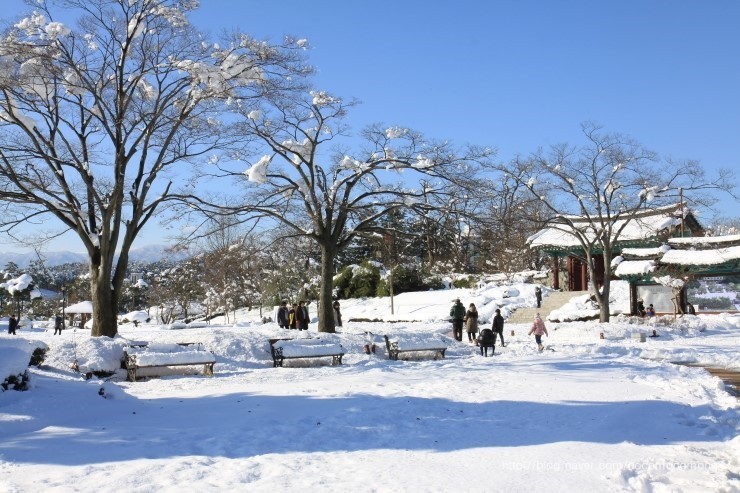 겨울 감성 충만! 강릉