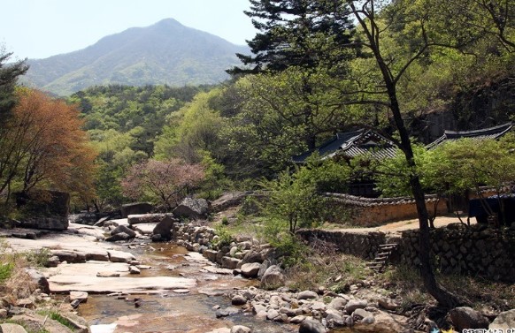 대야산 봄꽃축제 및 등산코스