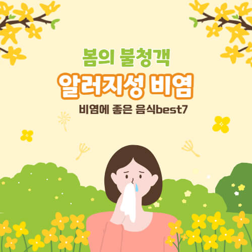 알러지성 비염 원인