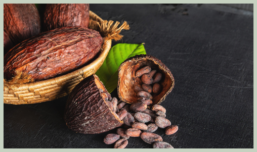 카카오닙스 효능, 부작용