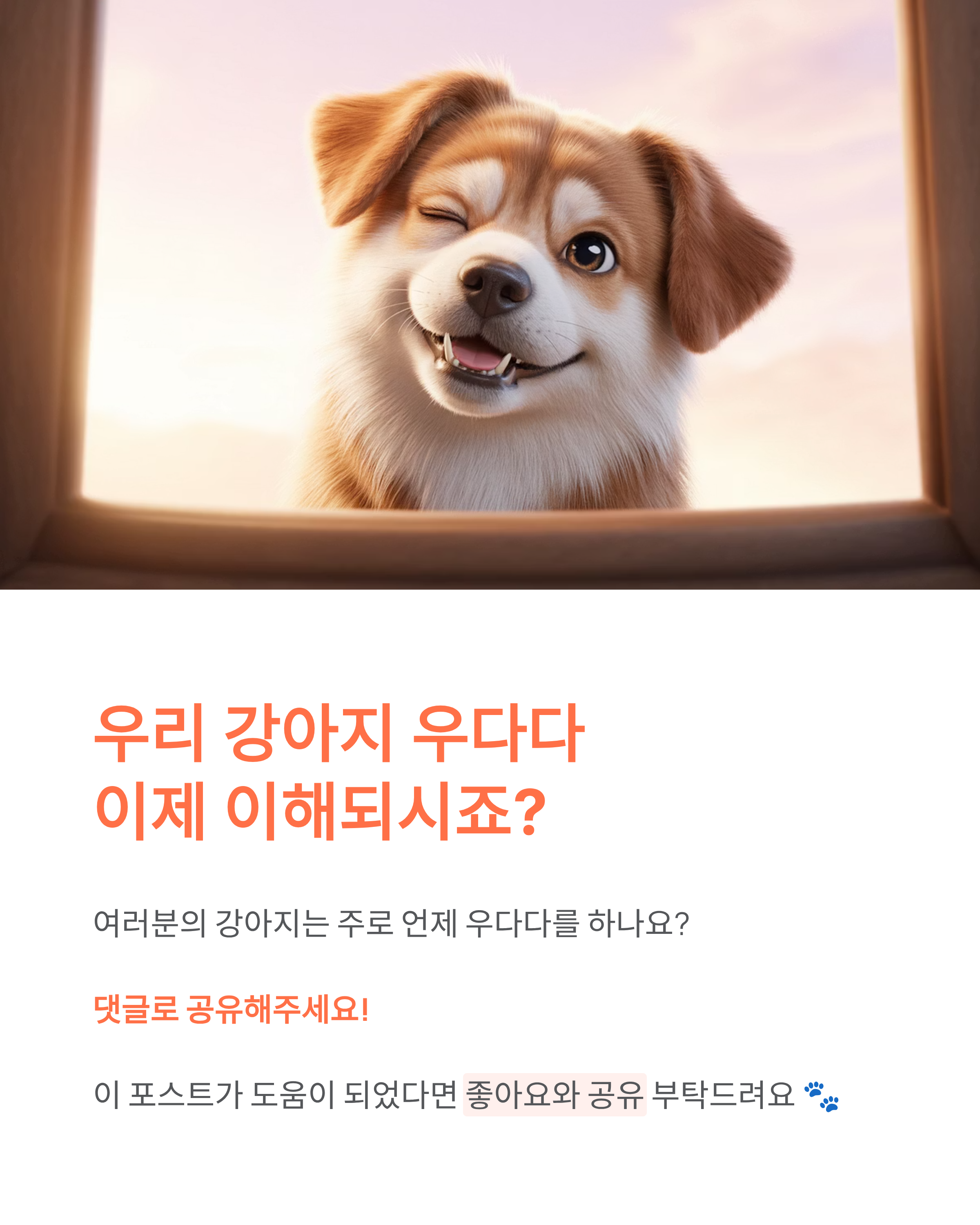강아지 갑자기 우다다 뛰어다니는 이유? 원인·시간·대처법 총정리