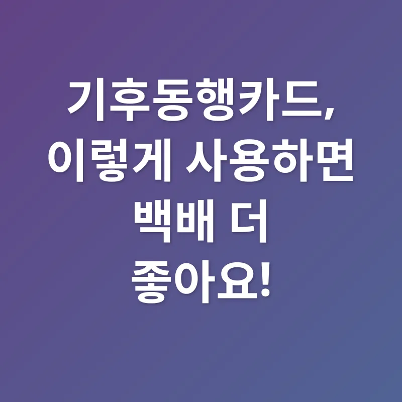 기후동행카드_2