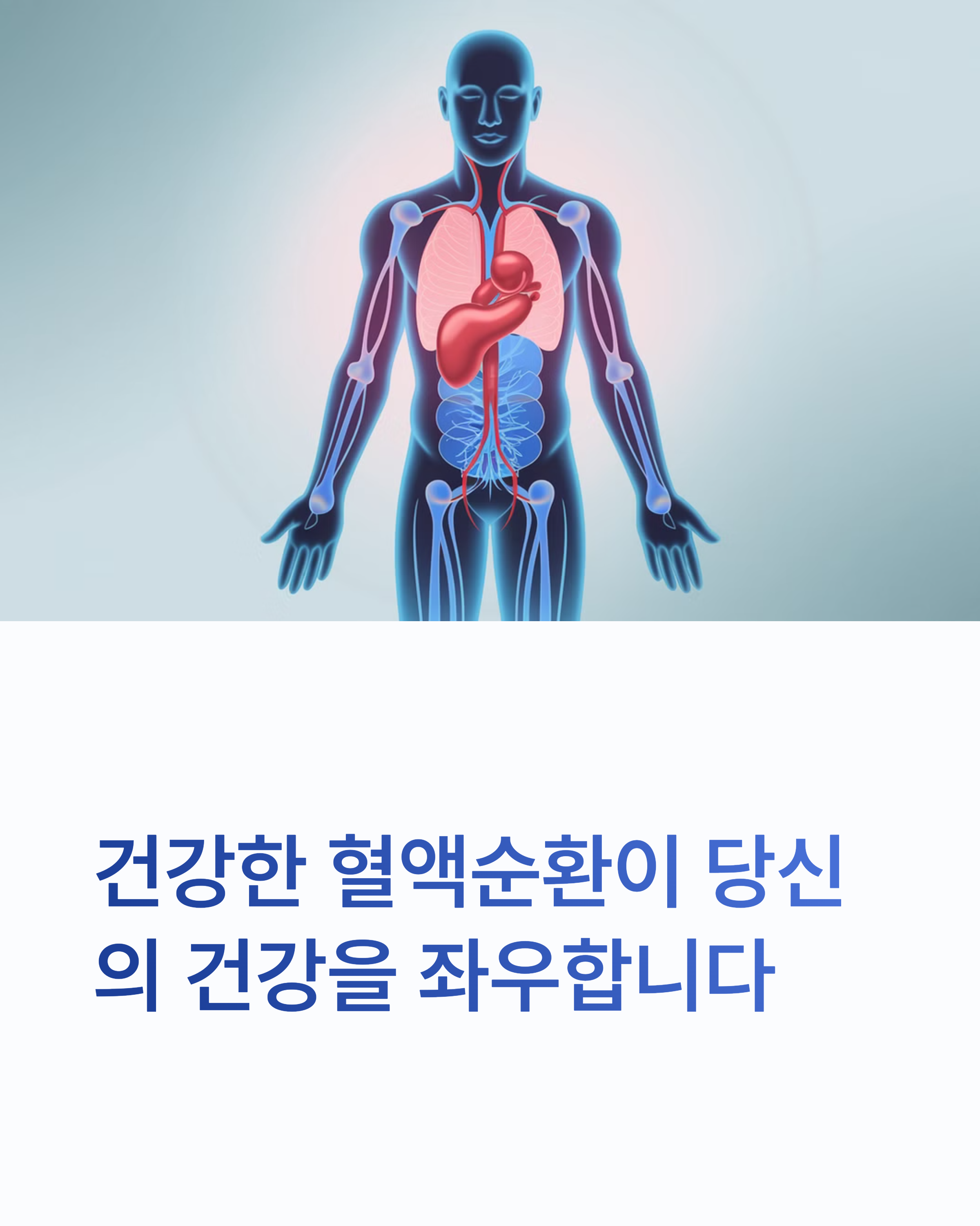 혈앤순환 개선