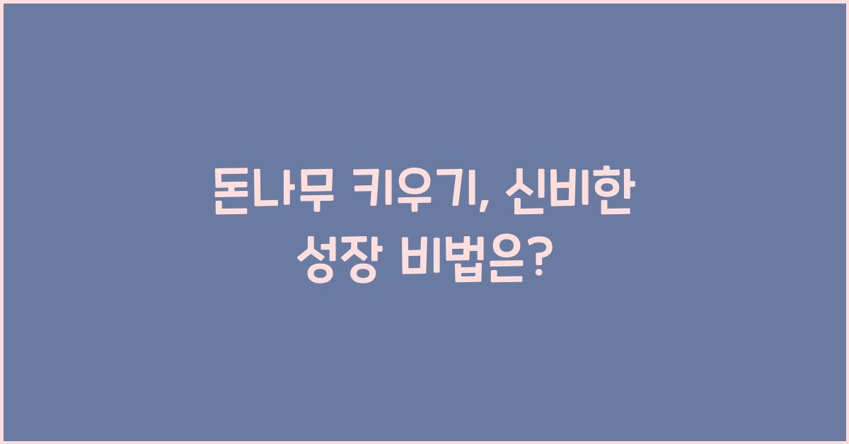 돈나무 키우기