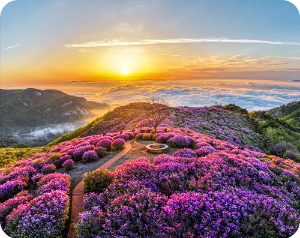 황매산 전경 이미지 출처: 황매산 군립공원