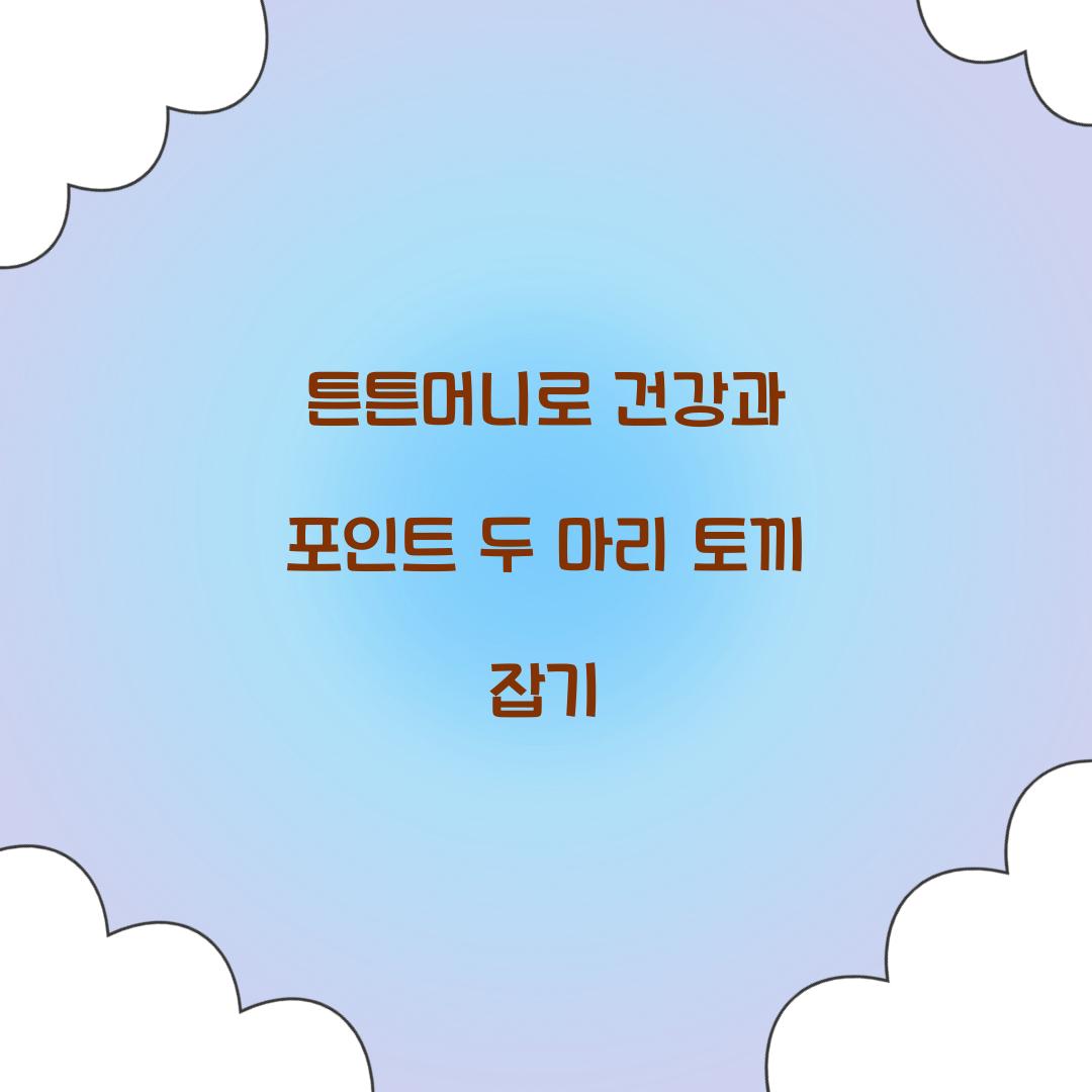 튼튼머니