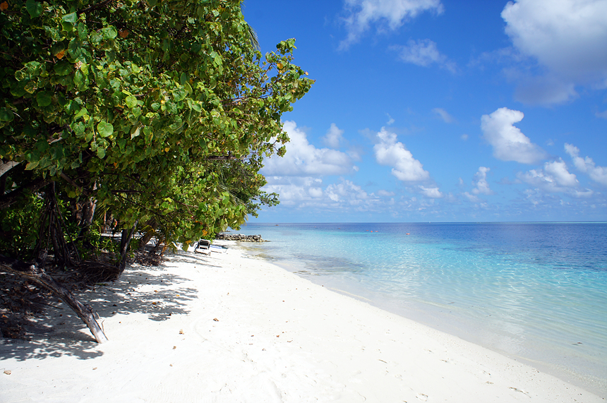 몰디브의 해변가