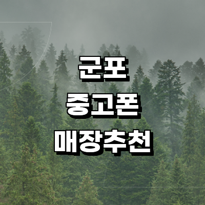 군포시 중고폰