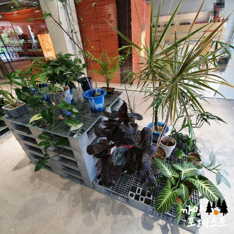 디앤디파트먼트