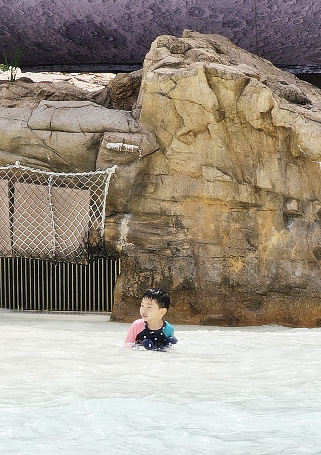 추워하면서도 물에 있는 쿠웅이