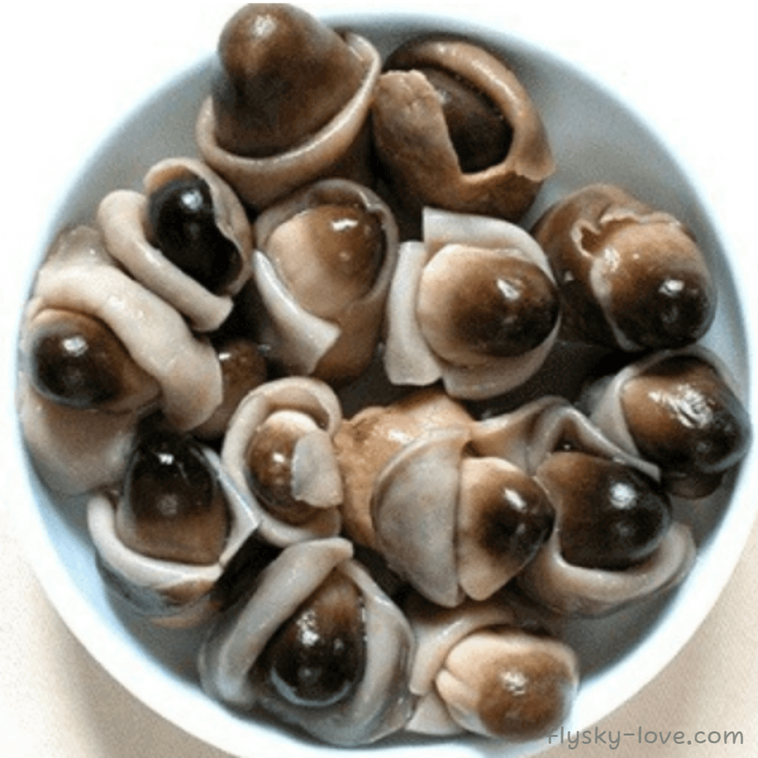 모양도 맛도 특이한 초고버섯