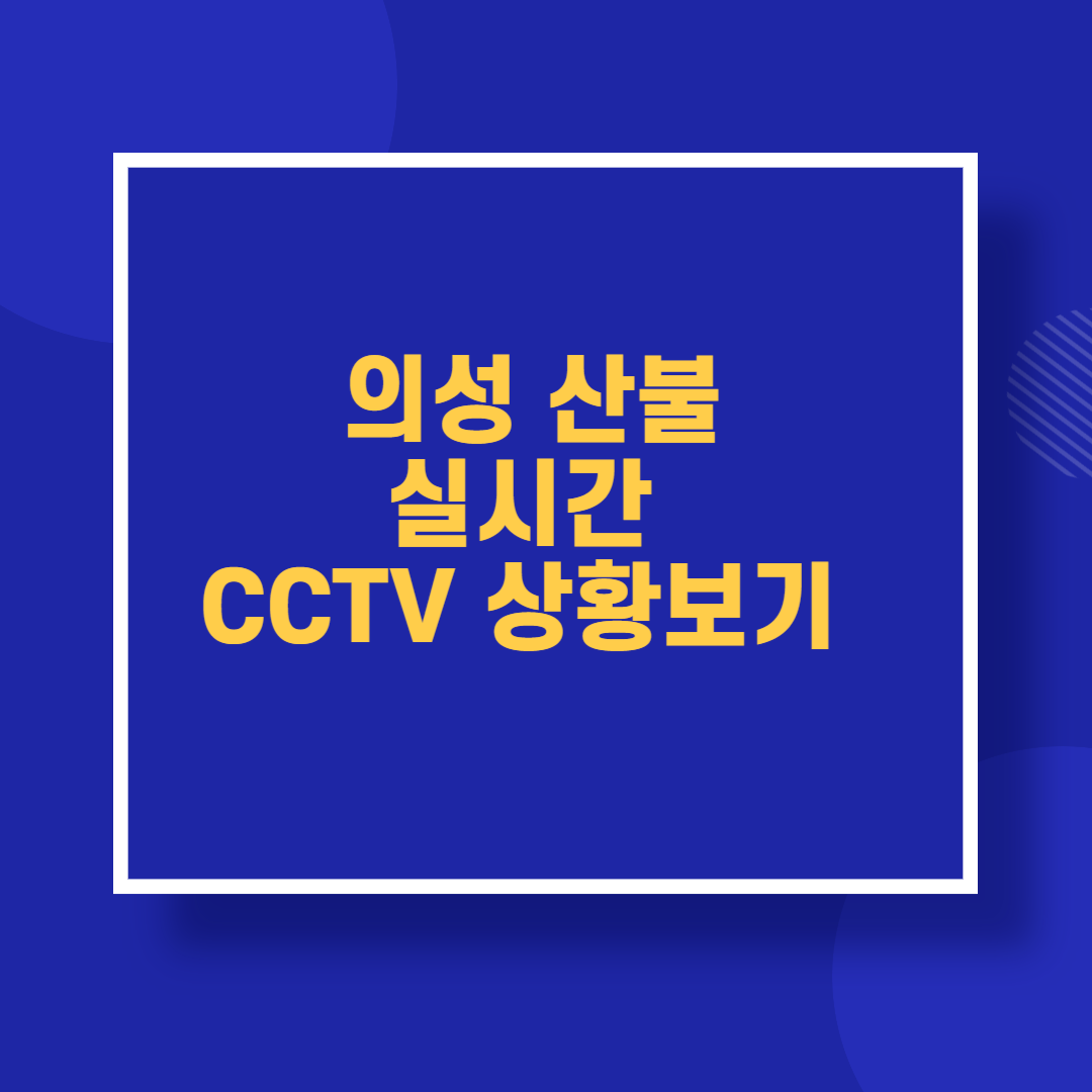 의성 산불 실시간 CCTV 상황보기