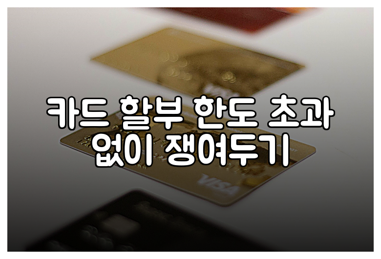 카드 할부 한도 초과 없이 쟁여두기