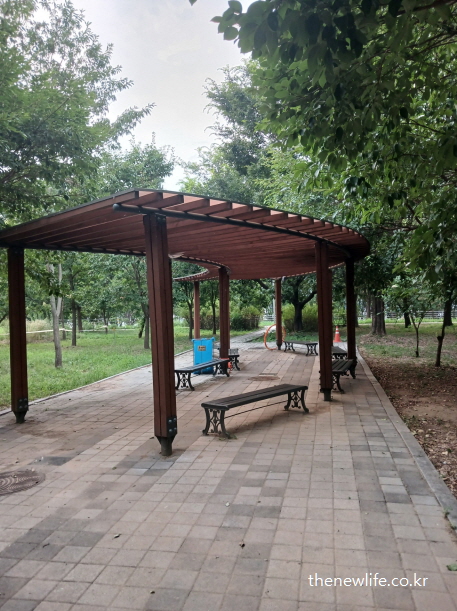 광나루 한강공원 나무 캐노피형 쉼터 – 서울 맨발 걷기 좋은 숲길 옆 벤치가 있는 휴식 공간