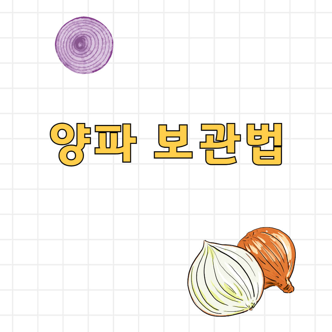 양파 보관법
