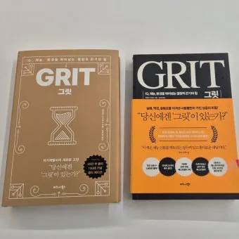 그릿 당신에겐 그릿이 있는가 성공의 요인_22