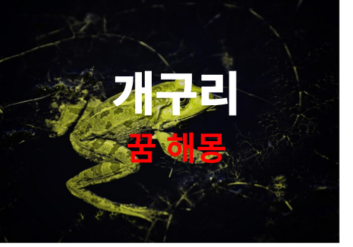 내꿈에 개구리가 나왔다면? 개꿈 일까요? 길몽 일까요? ( 개구리 무료 꿈 해몽 풀이 vest )