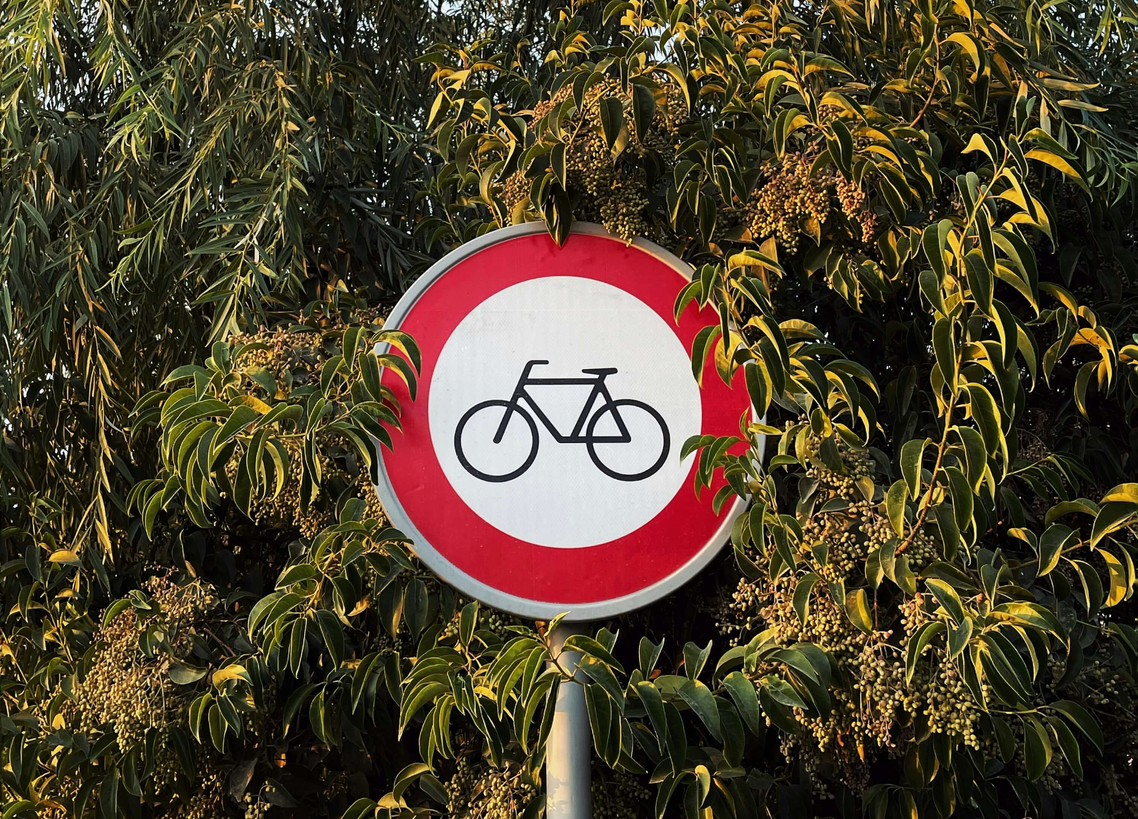 지역별 공공 자전거