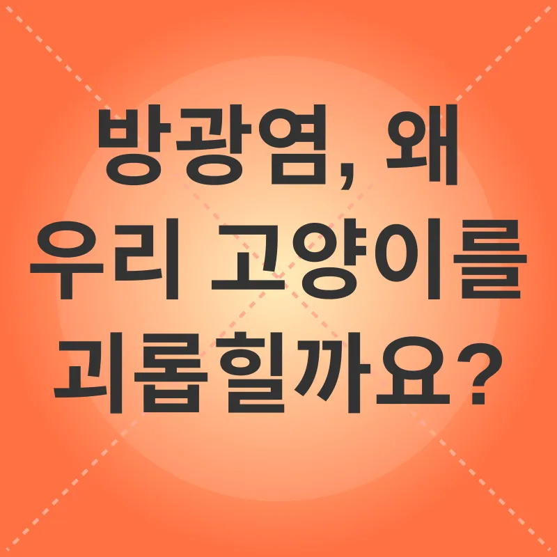 고양이 방광염 관리_1