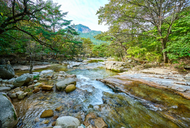 바람, 물소리, 사색… 송계계곡에서 만난 평화로운 하루