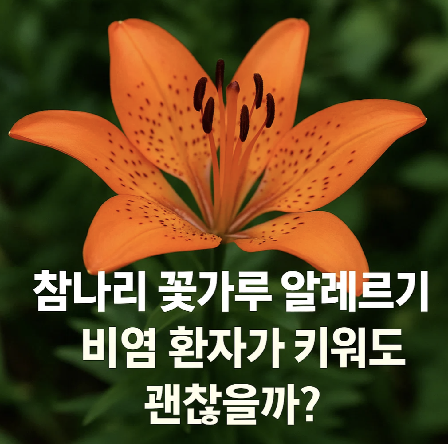 참나리 꽃가루 알레르기, 비염 환자가 키워도 괜찮을까?