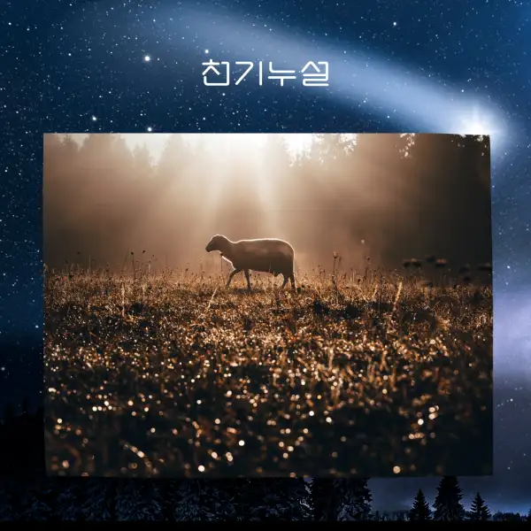 양이 나오는 꿈해몽