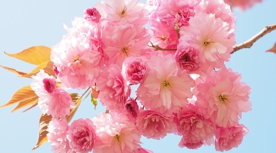 옷 냄새 제거 방법