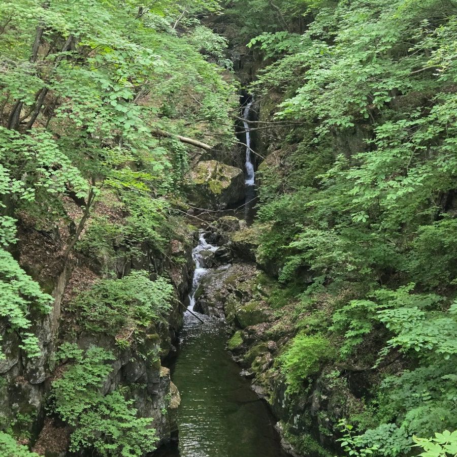 국립백운산자연휴양림