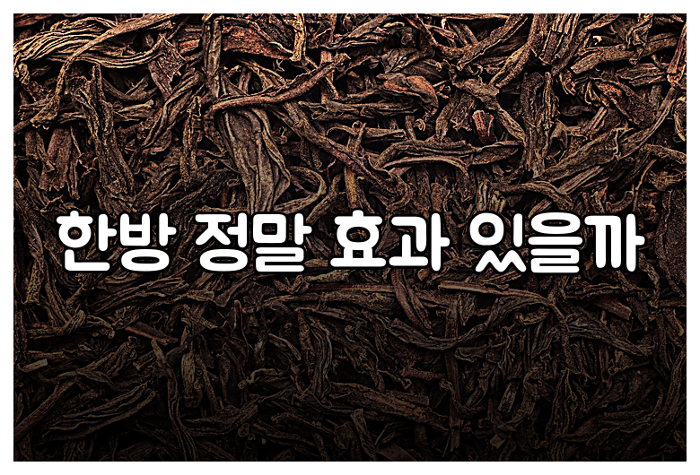 한방 정말 효과 있을까