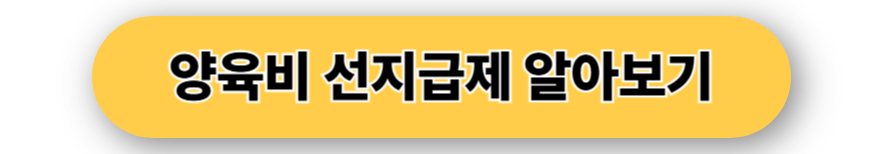 양육비 선지급제