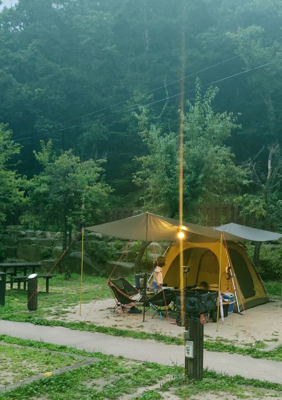 미루가 있는 사이트 전경