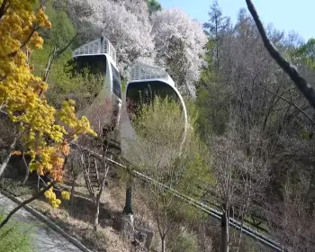화담숲 예약 봄 수선화 축제_2