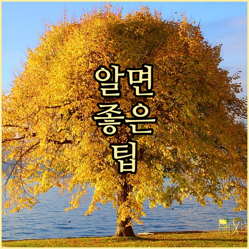내 상생페이백 할부, 카드 실적 포함..