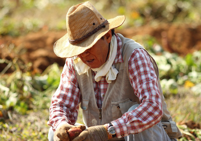 개인 농업경영체 관련 사진