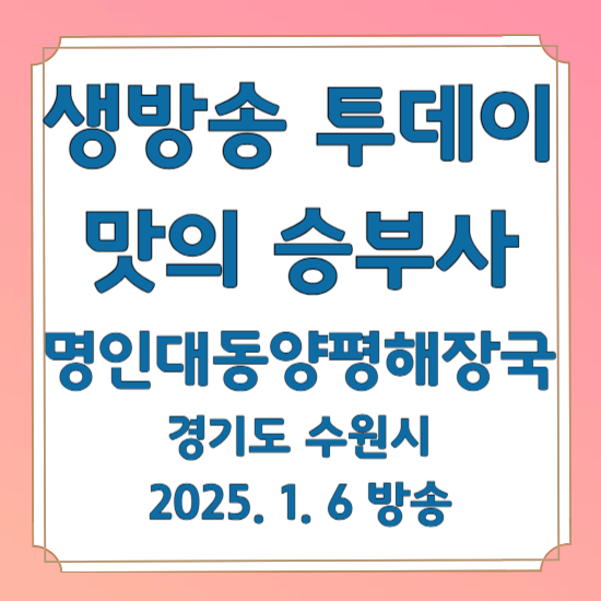 생방송 투데이 맛의 승부사