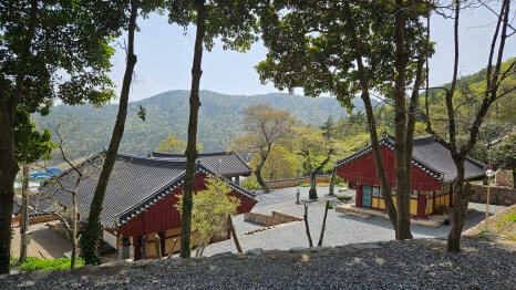 해남 서동사 : 보물 대웅전과 동백 숲이 건네는 천년의 위로