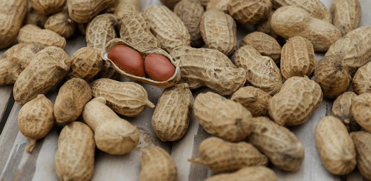 대장에 좋은 음식과 관련된 사진 - 9