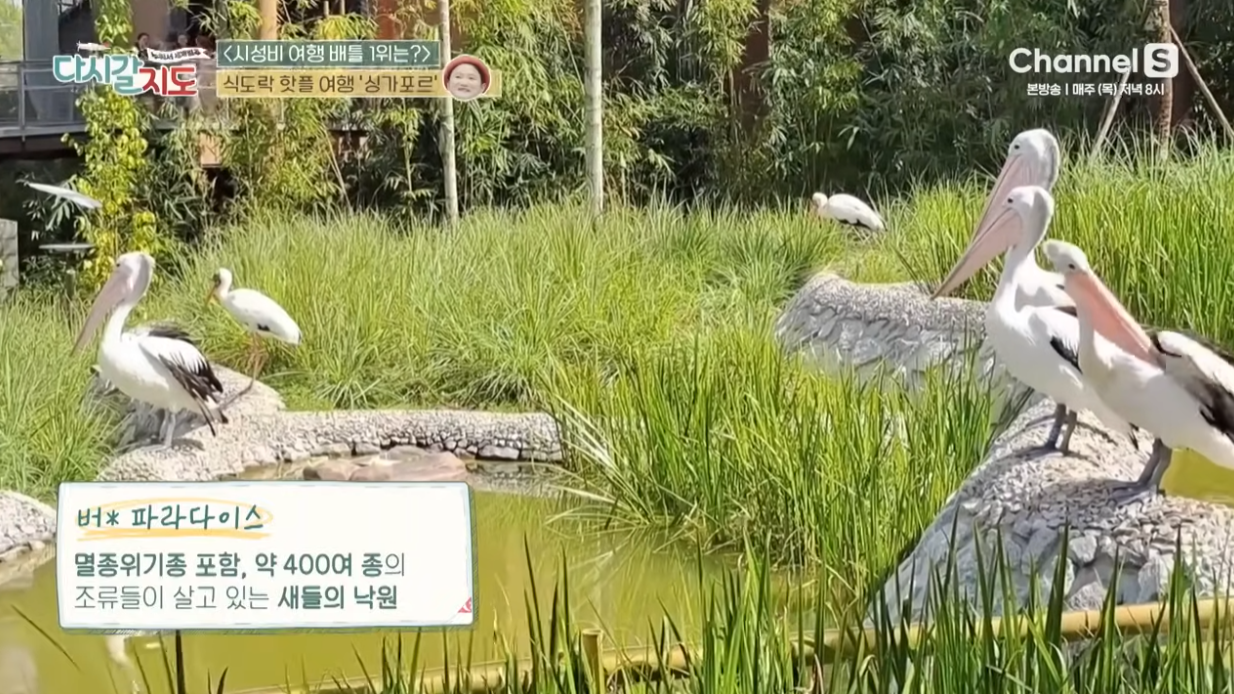 싱가포르 맛집 추천, 식도락 핫플 여행기 - 다시갈지도 95회