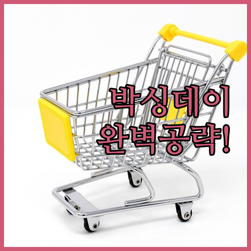 타우랑가 크로싱 박싱데이 쇼핑 팁과 ..