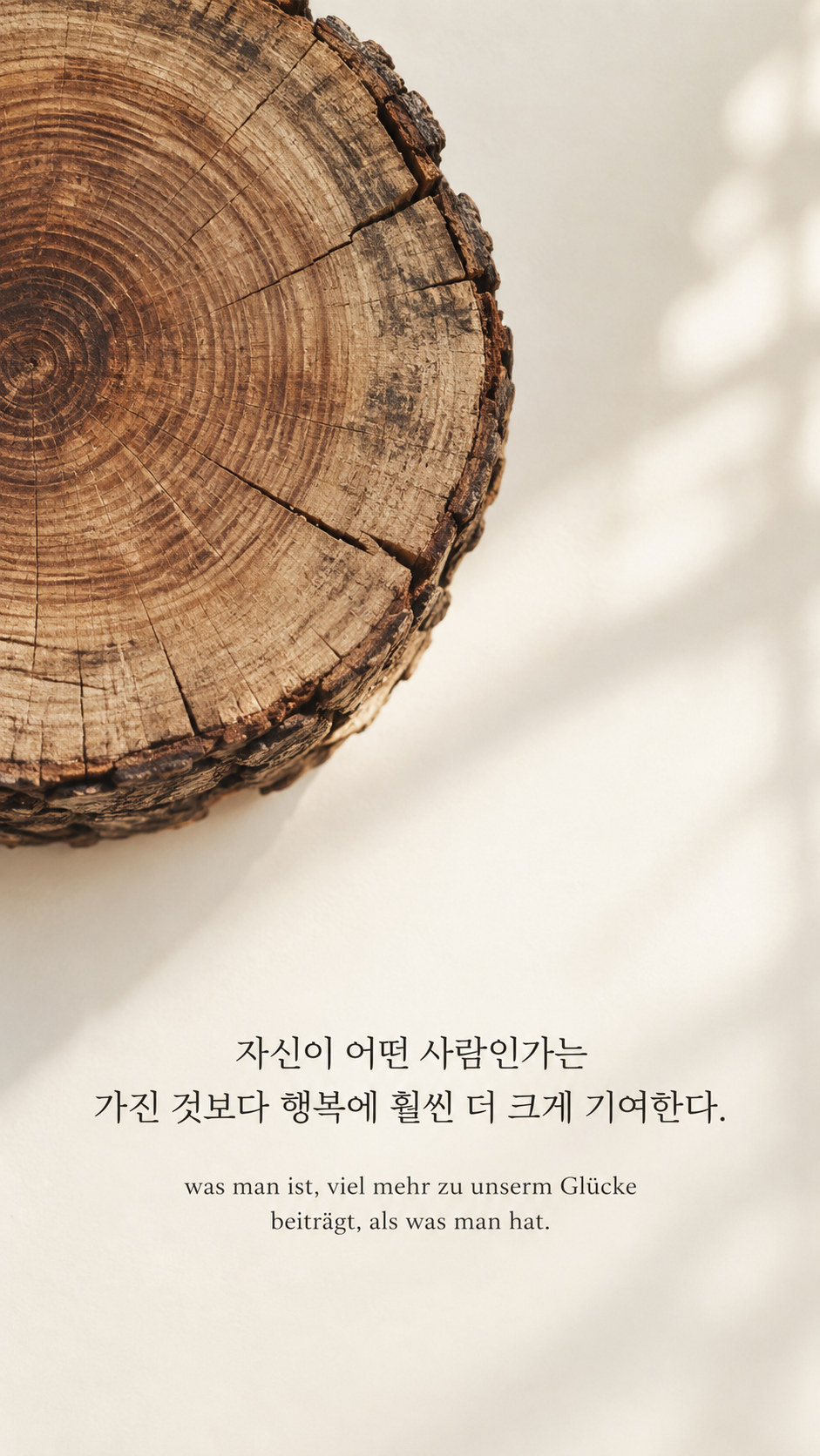 쇼펜하우어 명언 3 자신이 어떤 사람인가는 가진 것보다 행복에 훨씬 더 크게 기여한다. 속의 나이테가 드러난 오래된 목재 단면 배경의 한글&middot;독일어 이미지