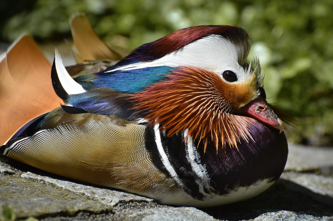 중도상환수수료 계산법