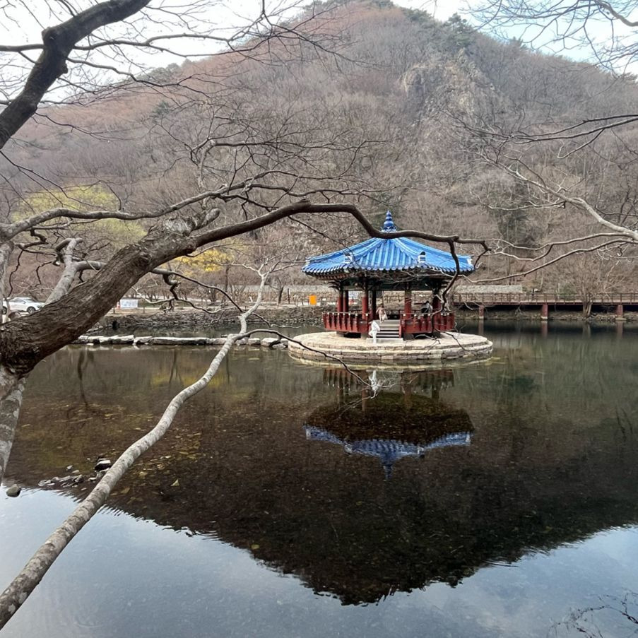우화정