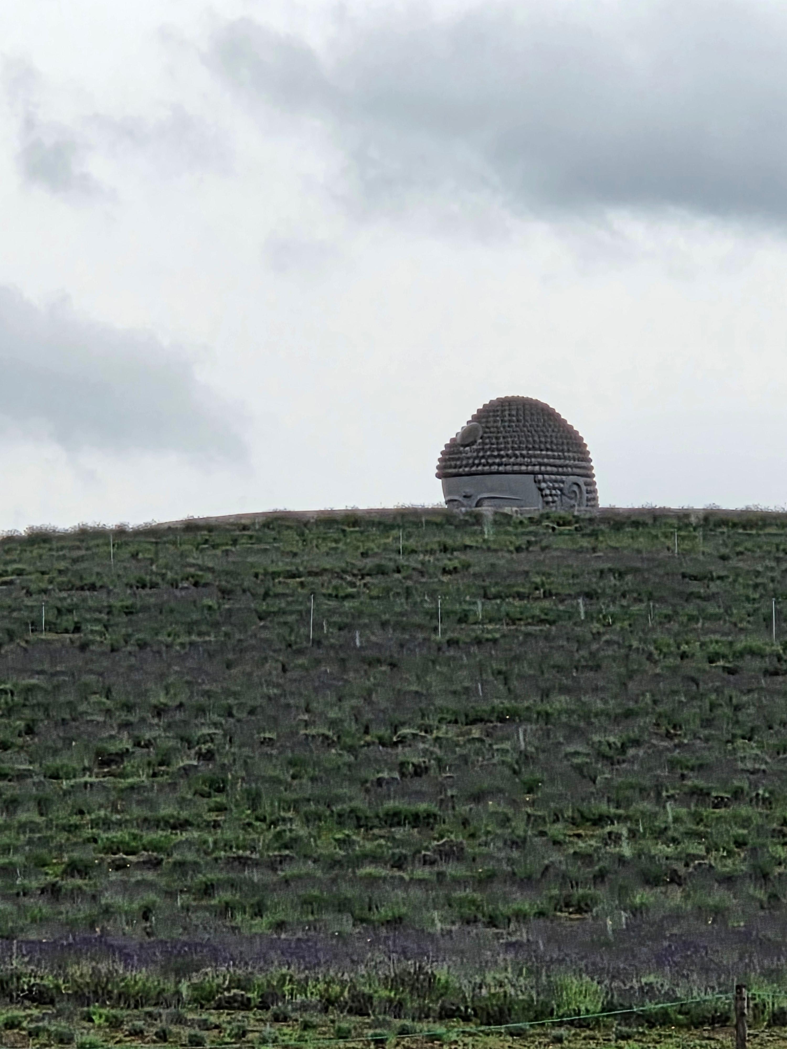 라벤더 언덕 너머로 불두만 보이는 부처의 언덕 전경