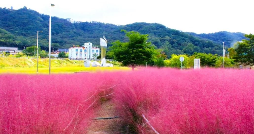 칠곡보 생태공원