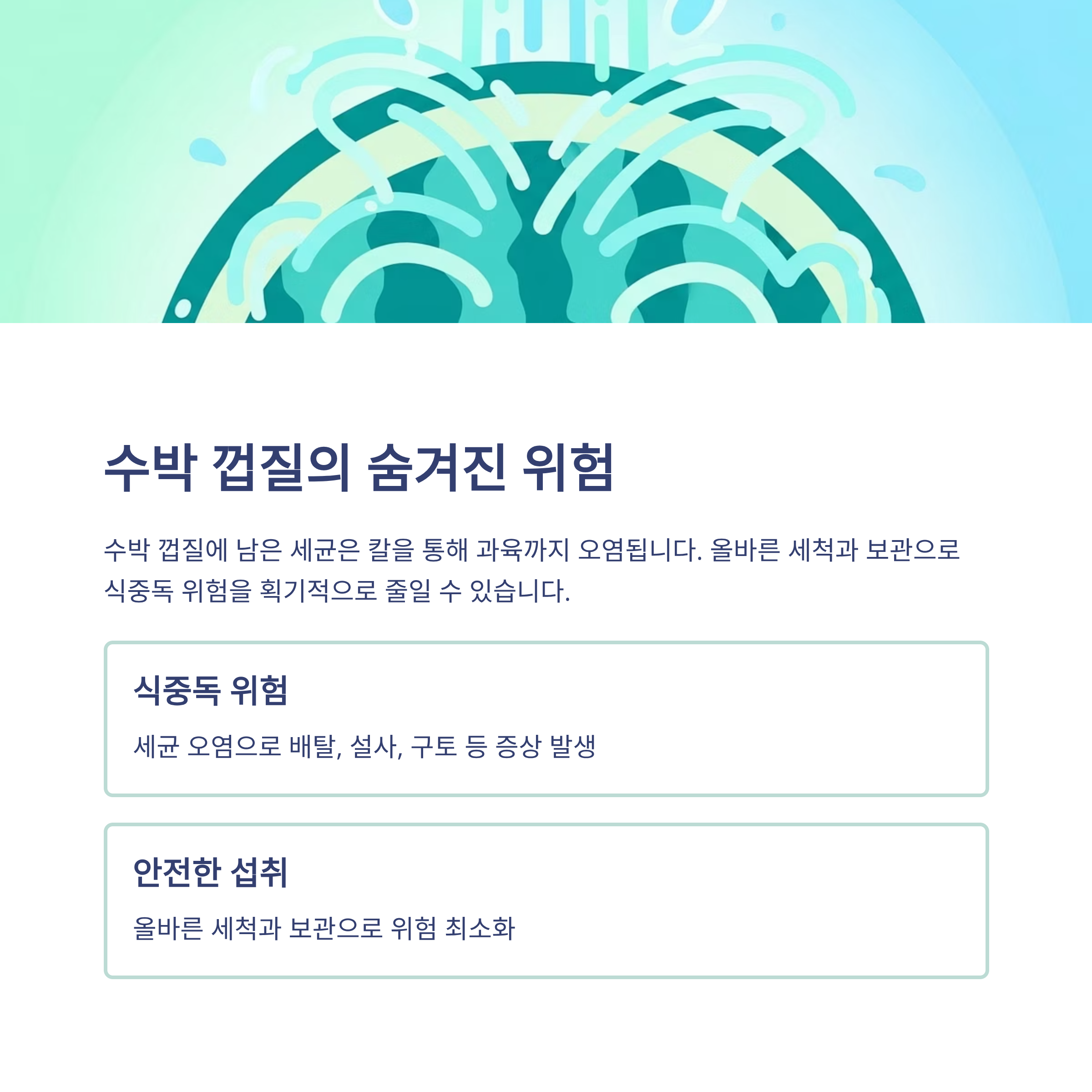 수박 껍질의 숨겨진 위험