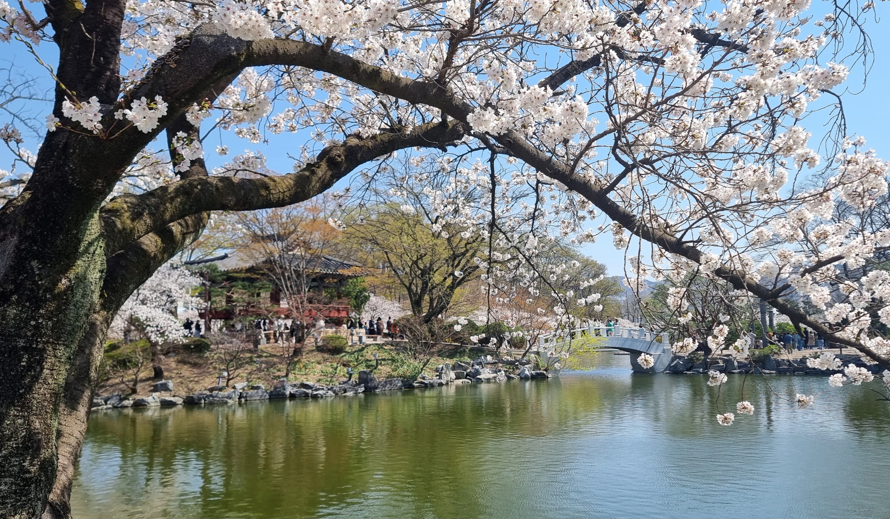 김천시 가볼 만한 곳 사명대사공원, 직지사, 직지사역, 연화지 방문후기