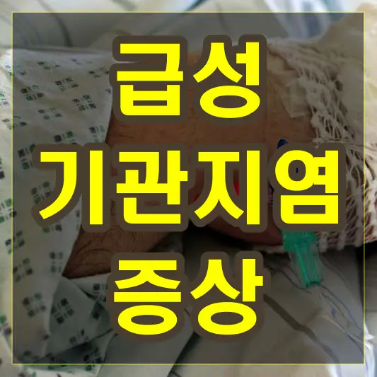 급성 기관지염 증상