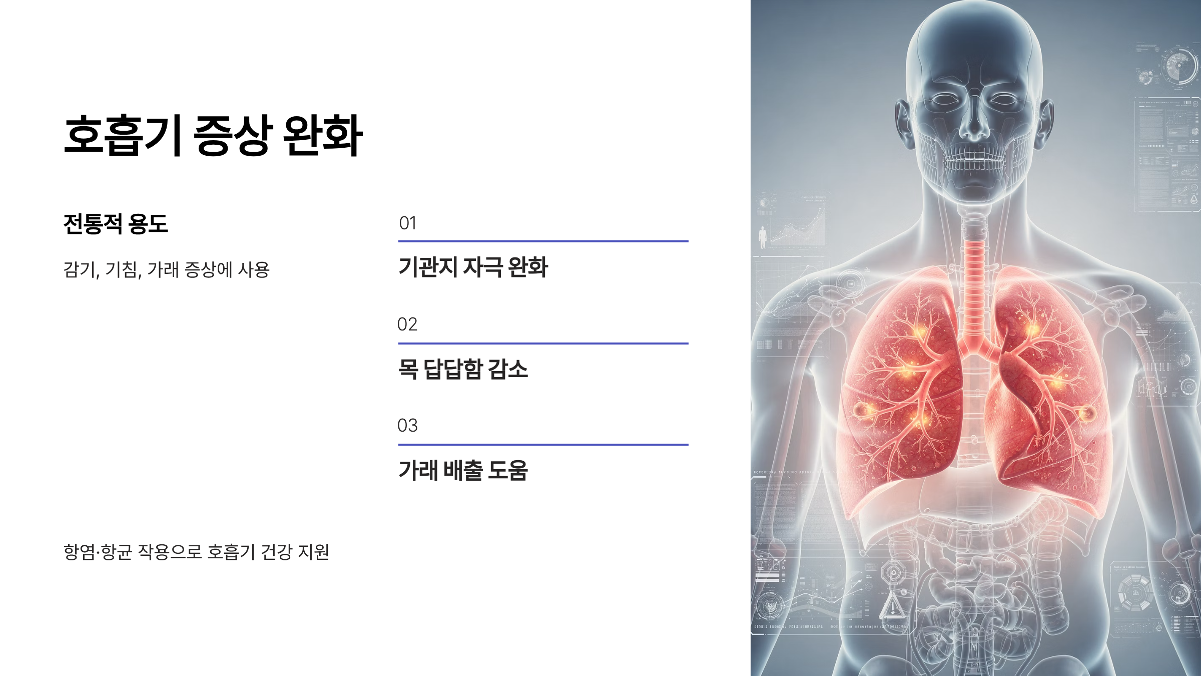 후박나무껍질 호흡기 증상 완화