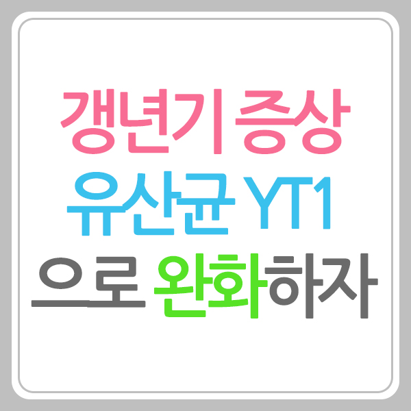 유산균 YT1